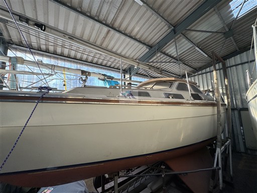 Colcic Watson 33 67