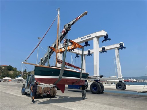 Shrimper 1
