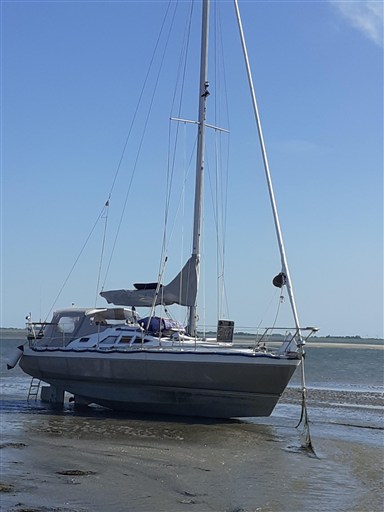 Ovni 30 3