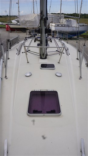 _DSC0994