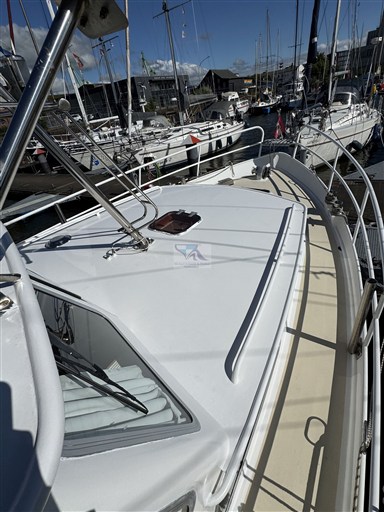 Pedro 10.50m 49