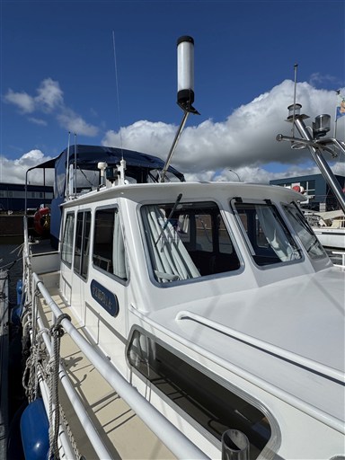 Pedro 10.50m 56