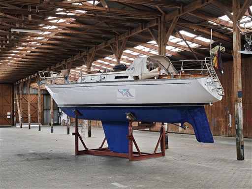 Carter 33 1