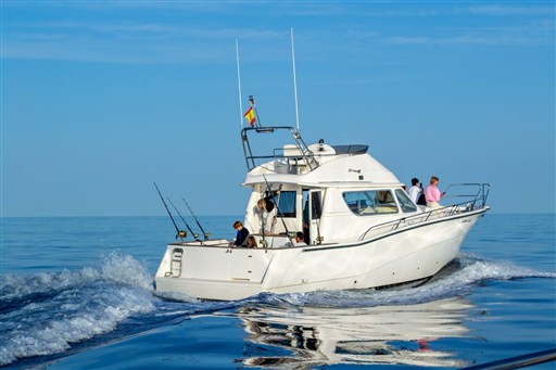 Rodman 1250 2