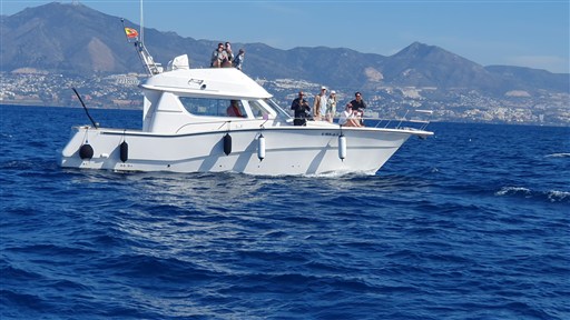Rodman 1250