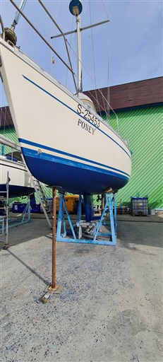 IMG-20250930-WA0013