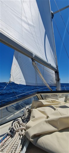 IMG-20250930-WA0006