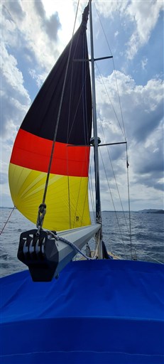 IMG-20250930-WA0002