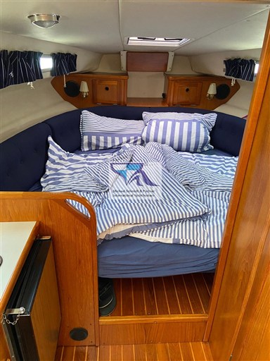 Marex 290  7