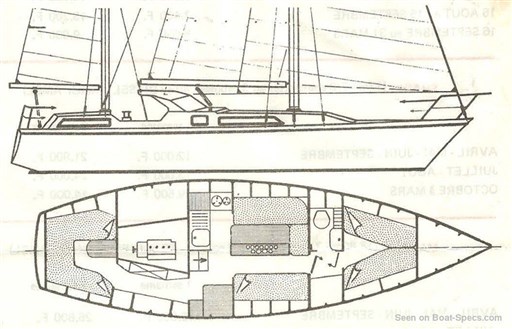 amel-sharki-layout-1