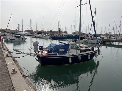 Automarine Tortuga 27