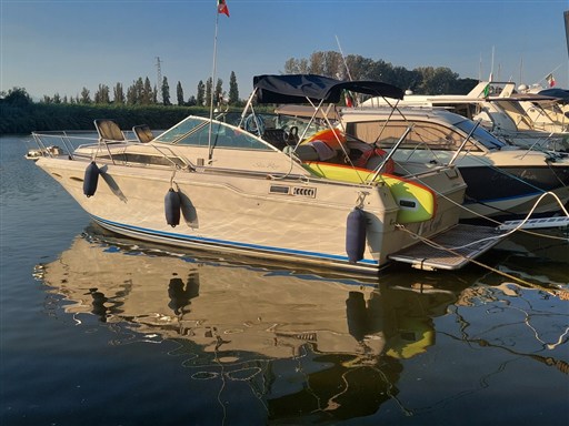 Sea Ray 300 Da