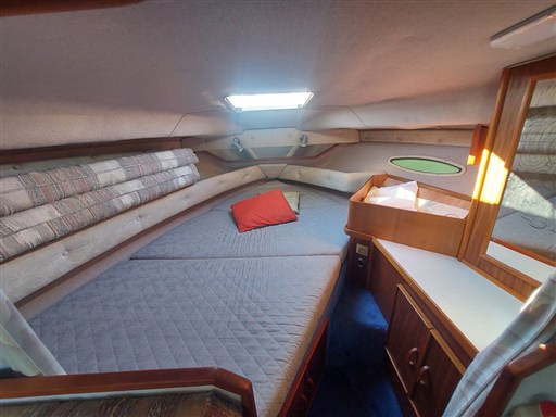 SeaRay300_03_rid25