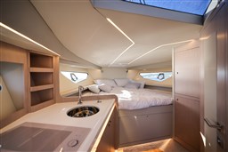 Focus Forza 37_interno entrati