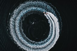 Focus Forza 37_cerchio