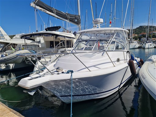 Proline 32 Express, bow view