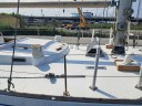 20260629_104217.jpg