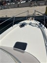 IMG_7998.JPEG