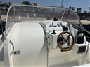 IMG_7995.JPEG