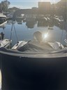 IMG_9987.jpeg