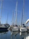 IMG_5172.JPEG