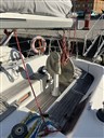 IMG_5918.JPEG