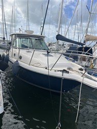 IMG_6037.JPEG