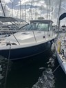 IMG_6038.JPEG