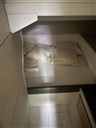 IMG_3034.JPEG