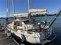 IMG_9941.JPEG