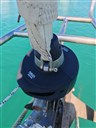 IMG_20260523_161149.jpg