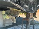 IMG_4115.jpg