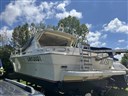IMG_7451.jpeg