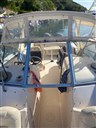 IMG_3377.jpeg