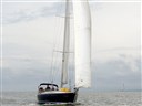 Regata dei Delfini _modif.jpg