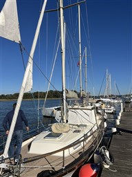 IMG_9943.JPEG