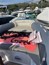 IMG_8944.JPEG