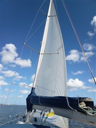 IMG_20260515_101219