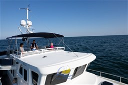 Vorauswahl Sea Time 01-0359