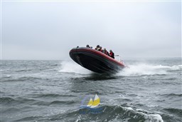 BP 27.05.18 1012 Â© Nils Bergmann