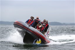 BP 27.05.18 220 Â© Nils Bergmann