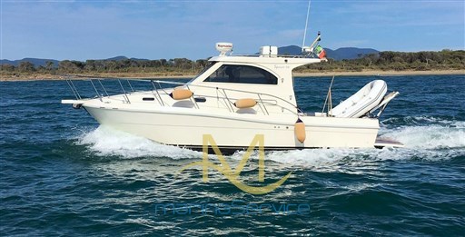 Plastik Space 310 Cruise