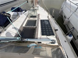 Odyssey 36 prua