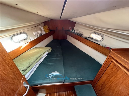 Odyssey 36 camera