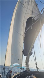 Sun Odyssey vela