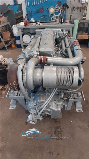 Bertram 33 motore