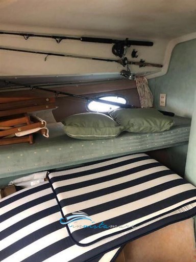 Bertram 38 cabina