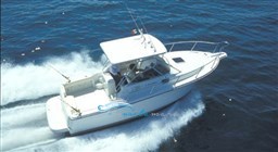 T 24 navigazione repertorio