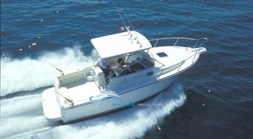 T 24 navigazione repertorio