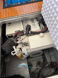 Carnevali 120 motore